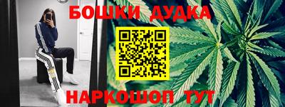 гидра Боровичи