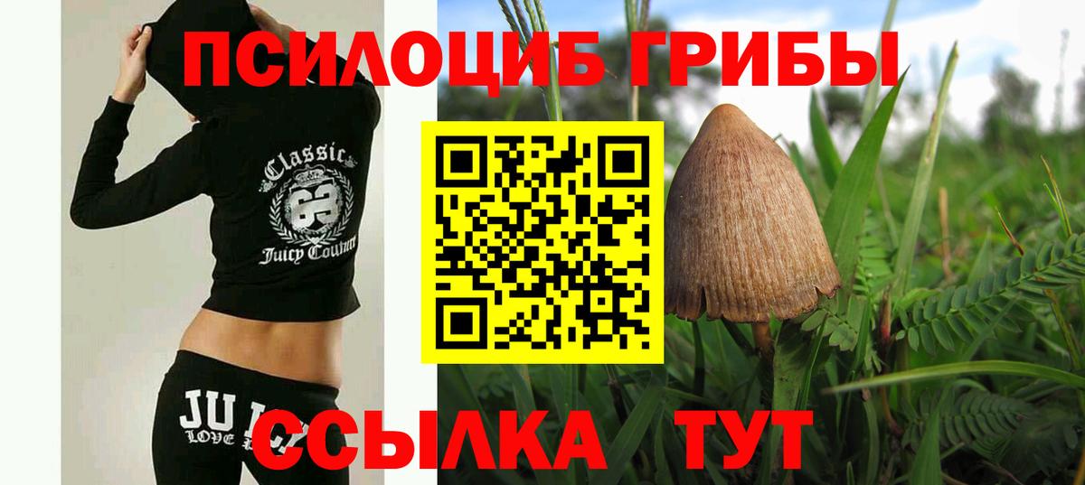 Кизляр  Галлюциногенные грибы мицелий  Вход с VPN 